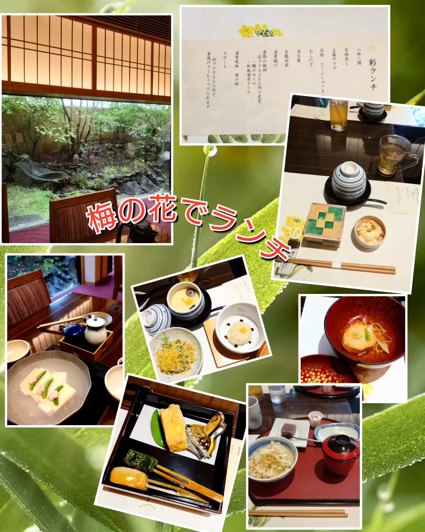 先週から色々楽しい事、嬉しい事がいっぱい有ったのに…投稿がお...