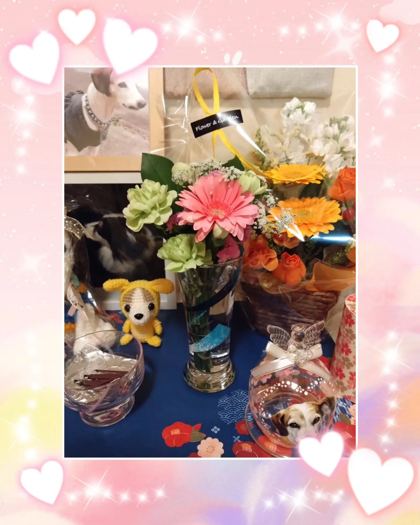 先週から色々楽しい事、嬉しい事がいっぱい有ったのに…投稿がお...