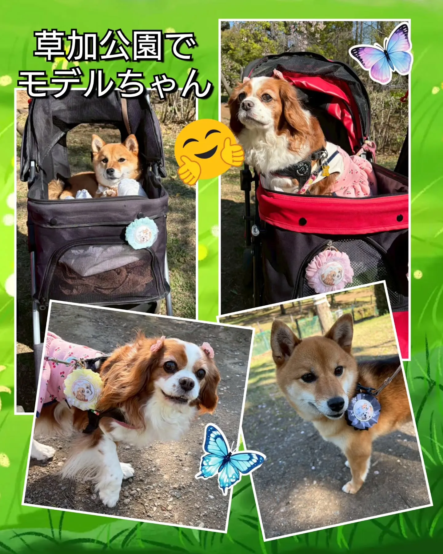 先週から色々楽しい事、嬉しい事がいっぱい有ったのに…投稿がお...