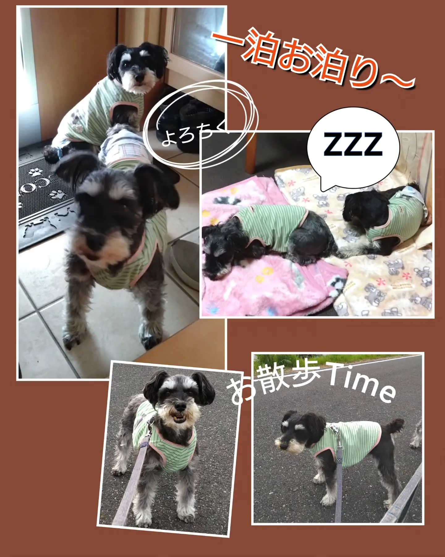 先週から色々楽しい事、嬉しい事がいっぱい有ったのに…投稿がお...