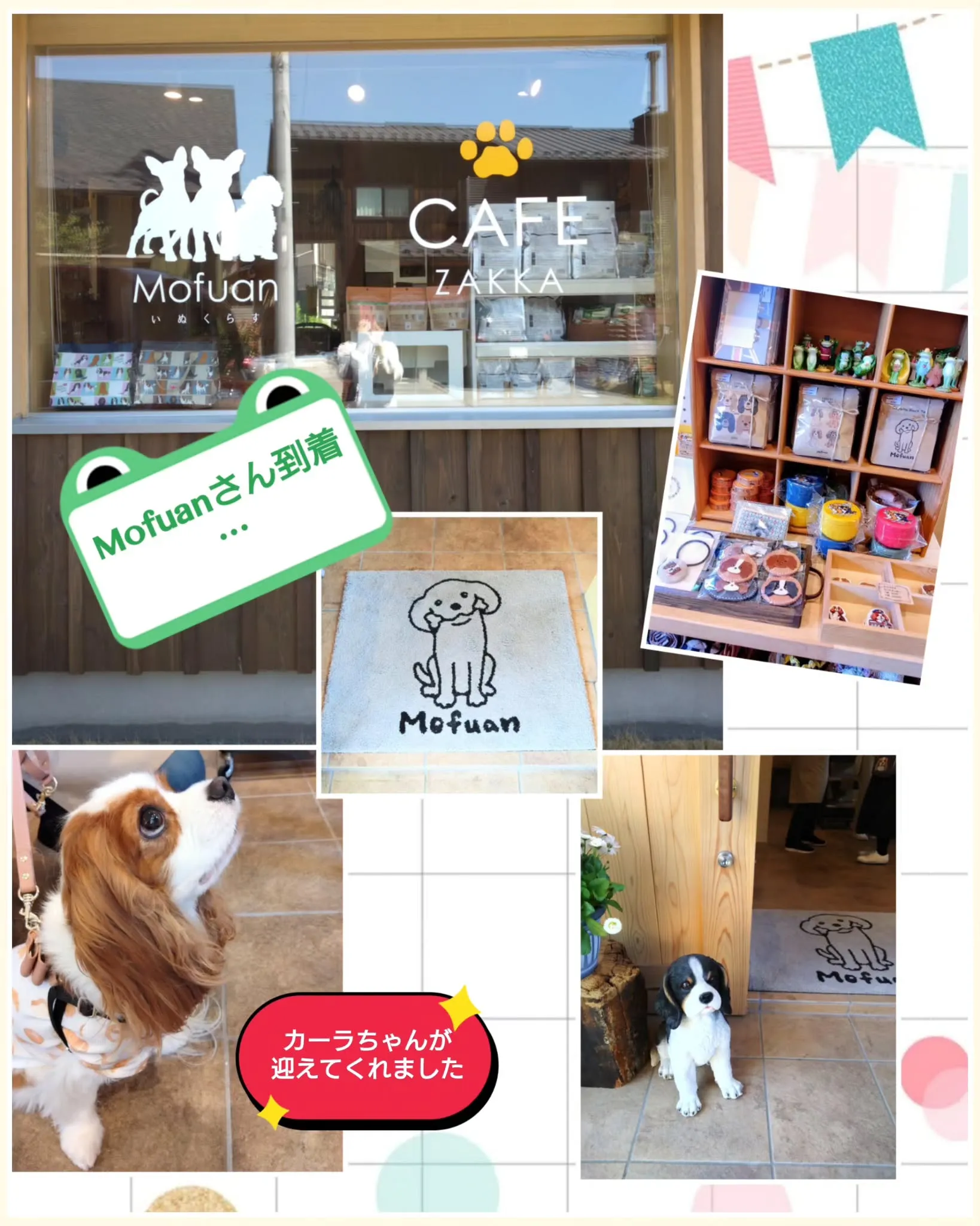 昨日、ワンコ友達と、リンちゃんソラ君とでお出掛けして来ました...