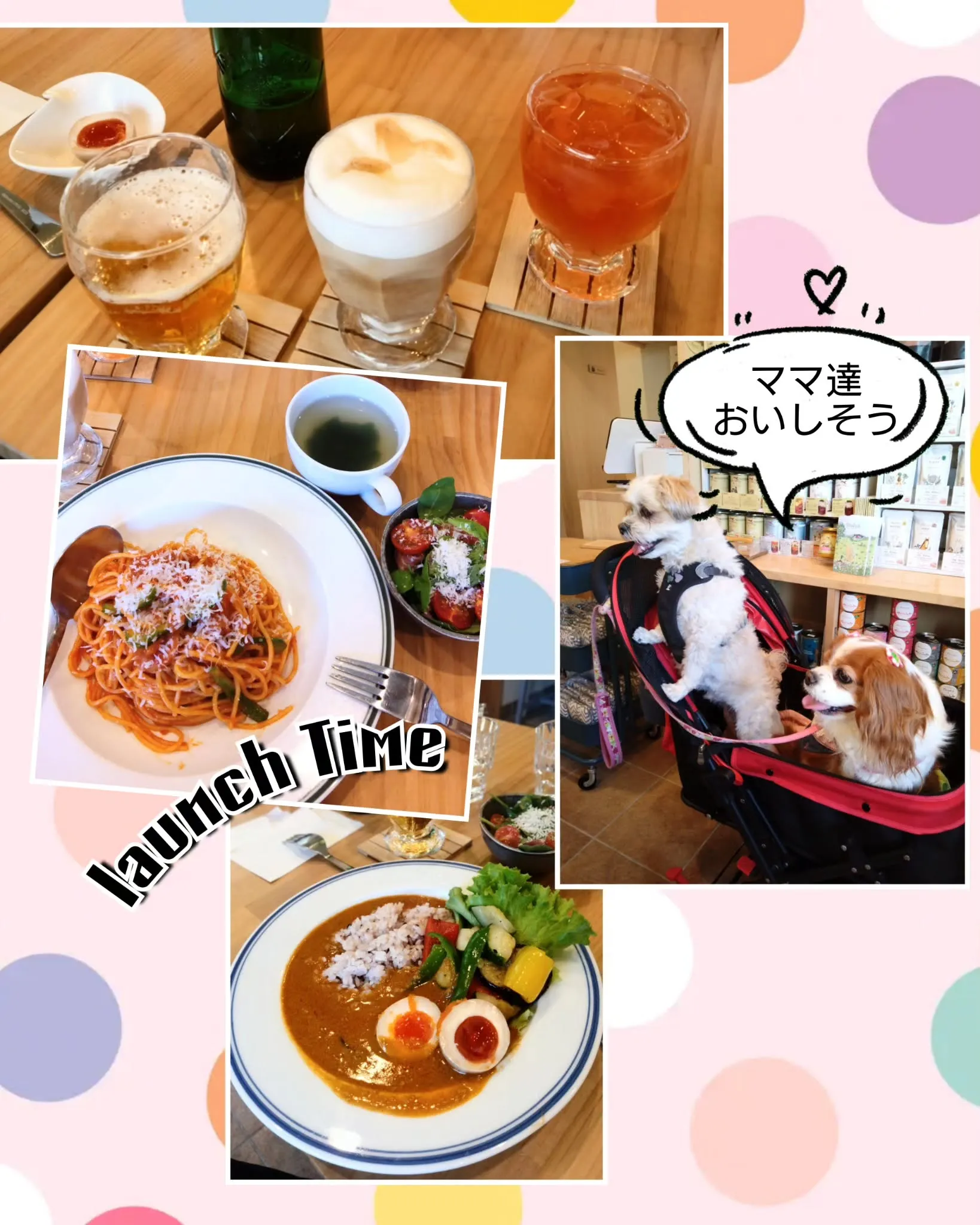 昨日、ワンコ友達と、リンちゃんソラ君とでお出掛けして来ました...