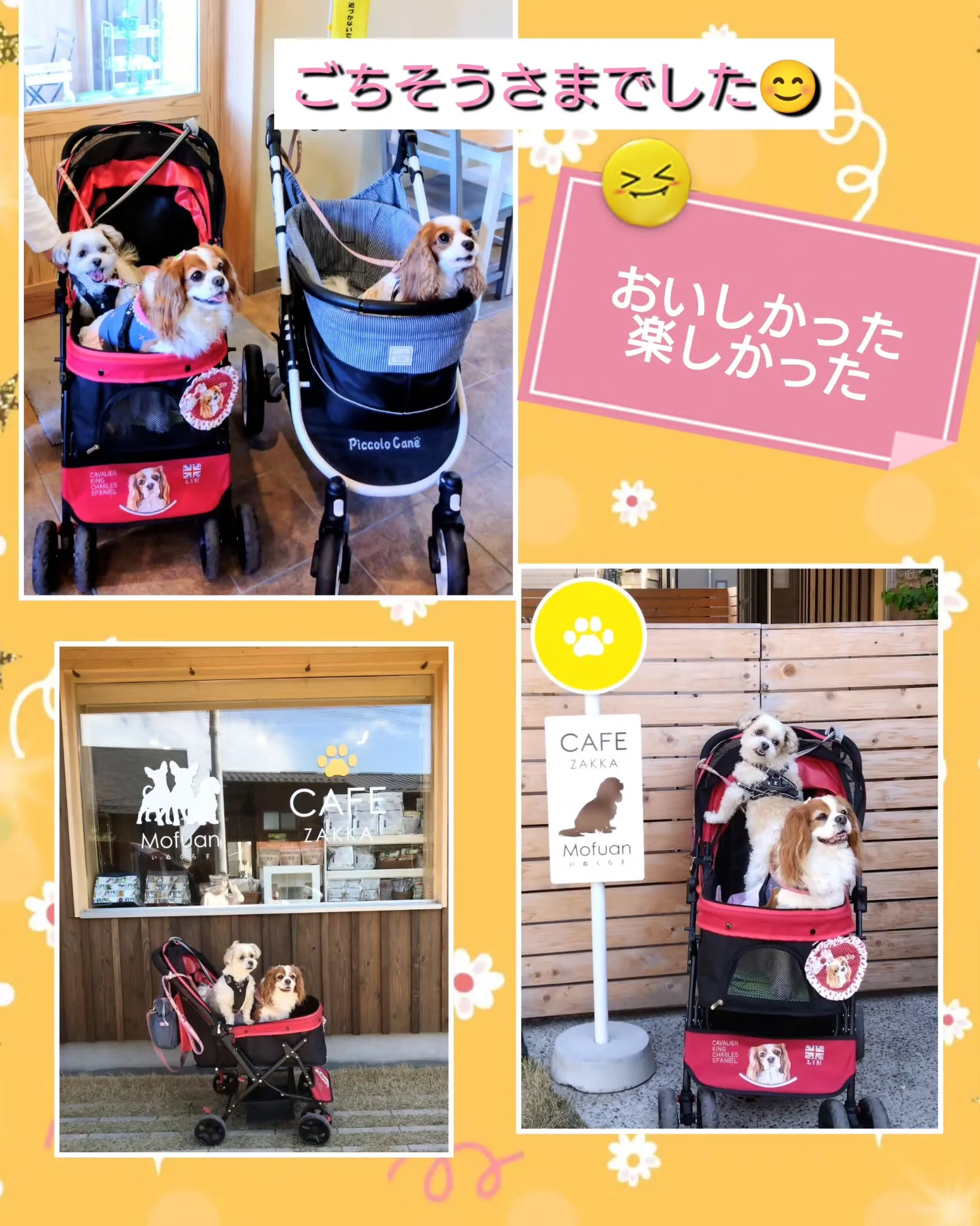 昨日、ワンコ友達と、リンちゃんソラ君とでお出掛けして来ました...