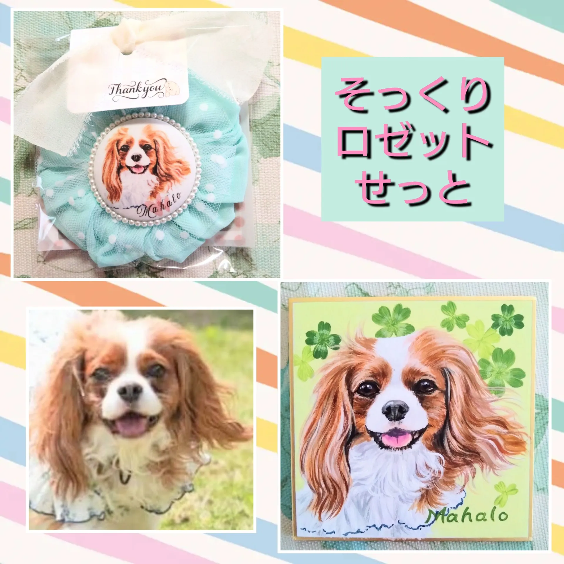 そっくりロゼットせっと