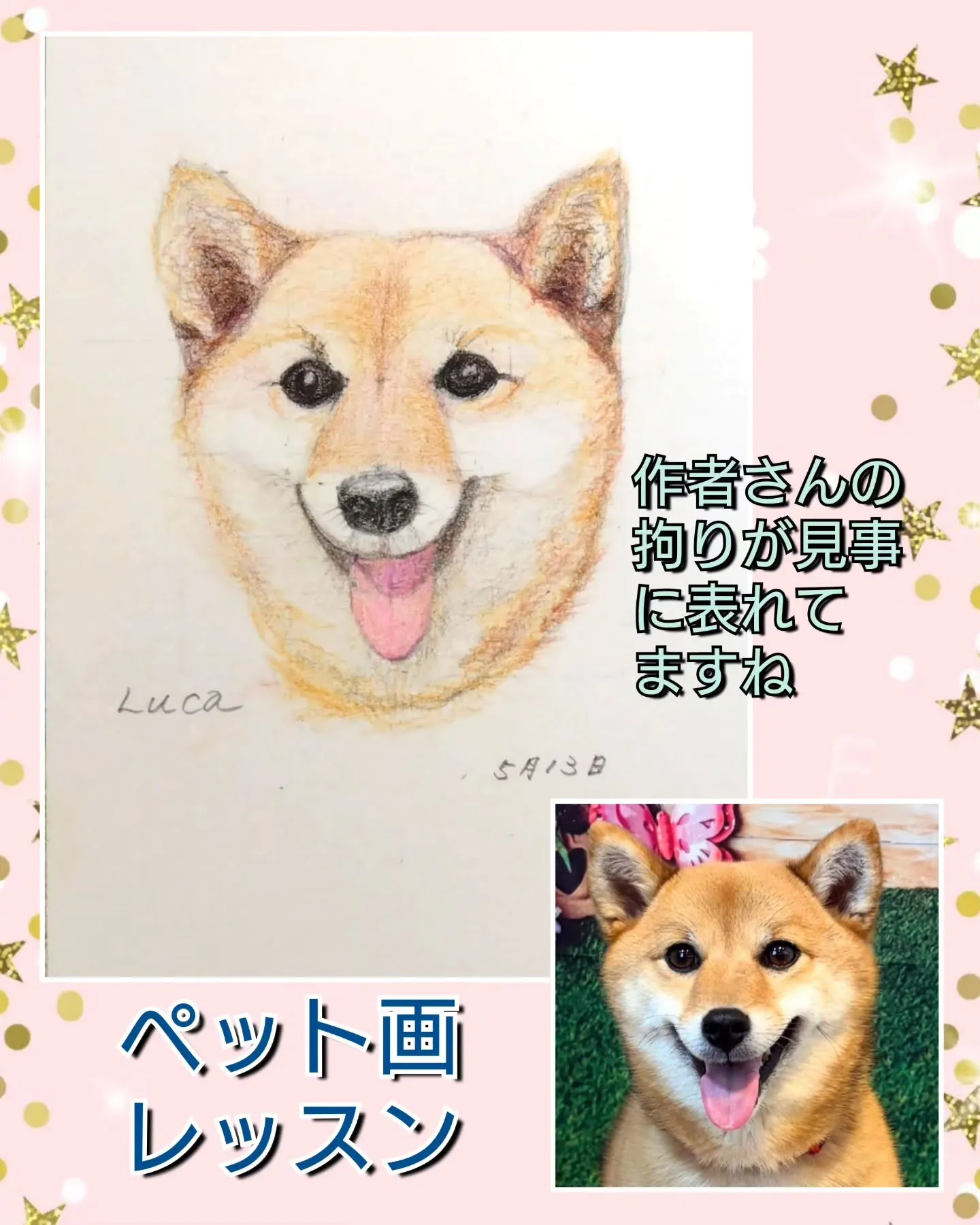 そっくりロゼットせっと&ペット画レッスン〜😊