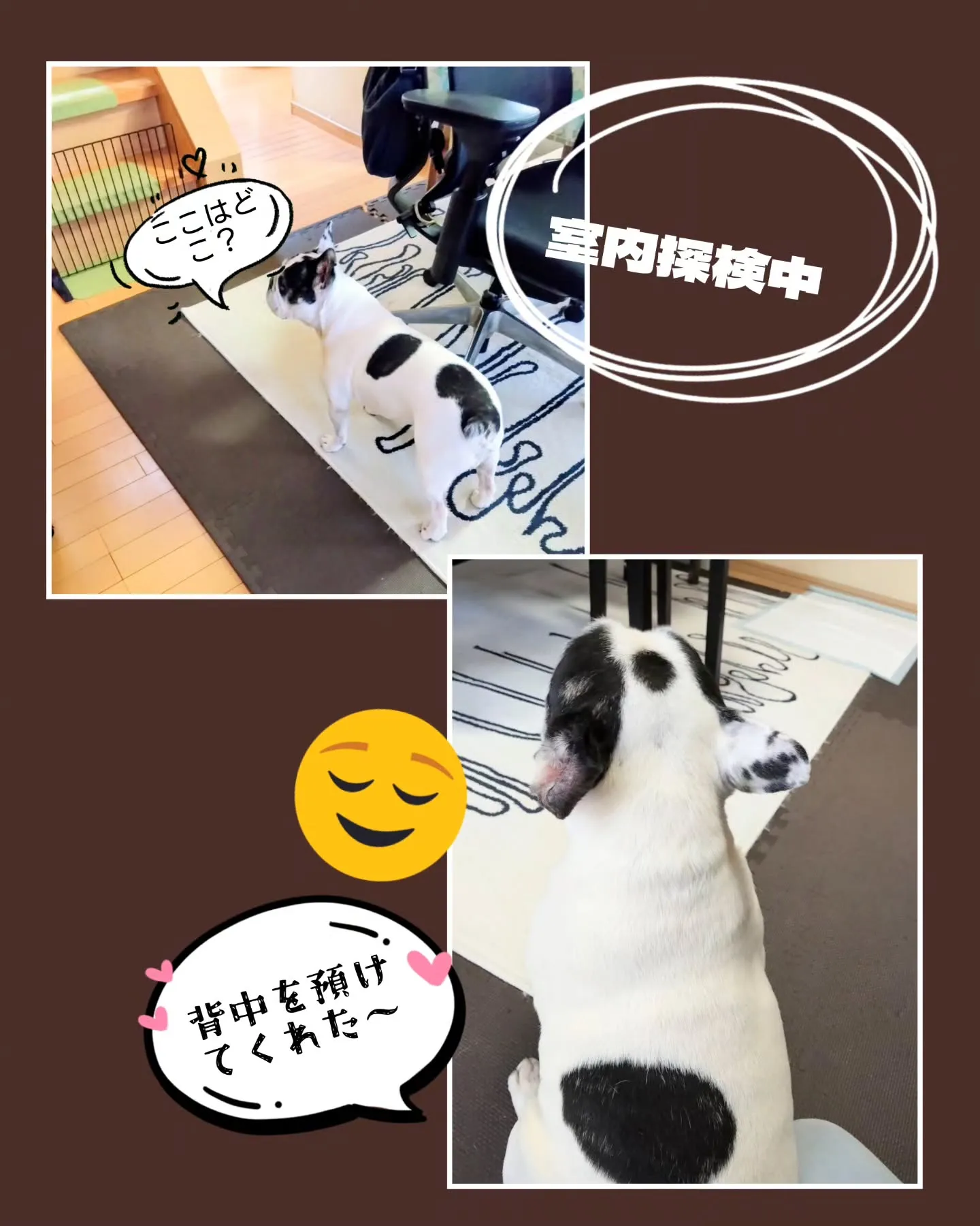 月曜日の事なんですが…😅