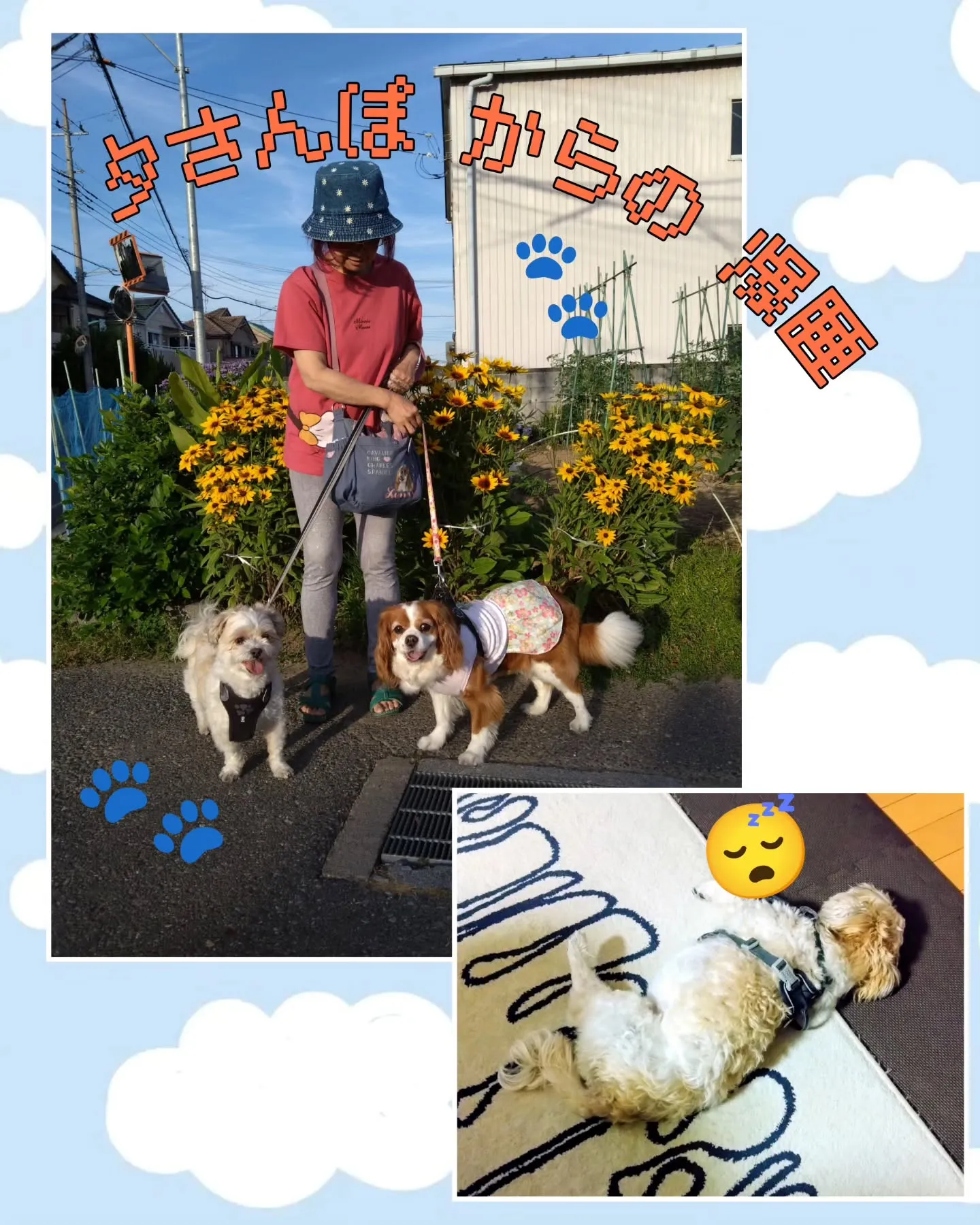 土曜日💕ワン友、リンちゃんママのお誕生日月、お祝いランチに焼...