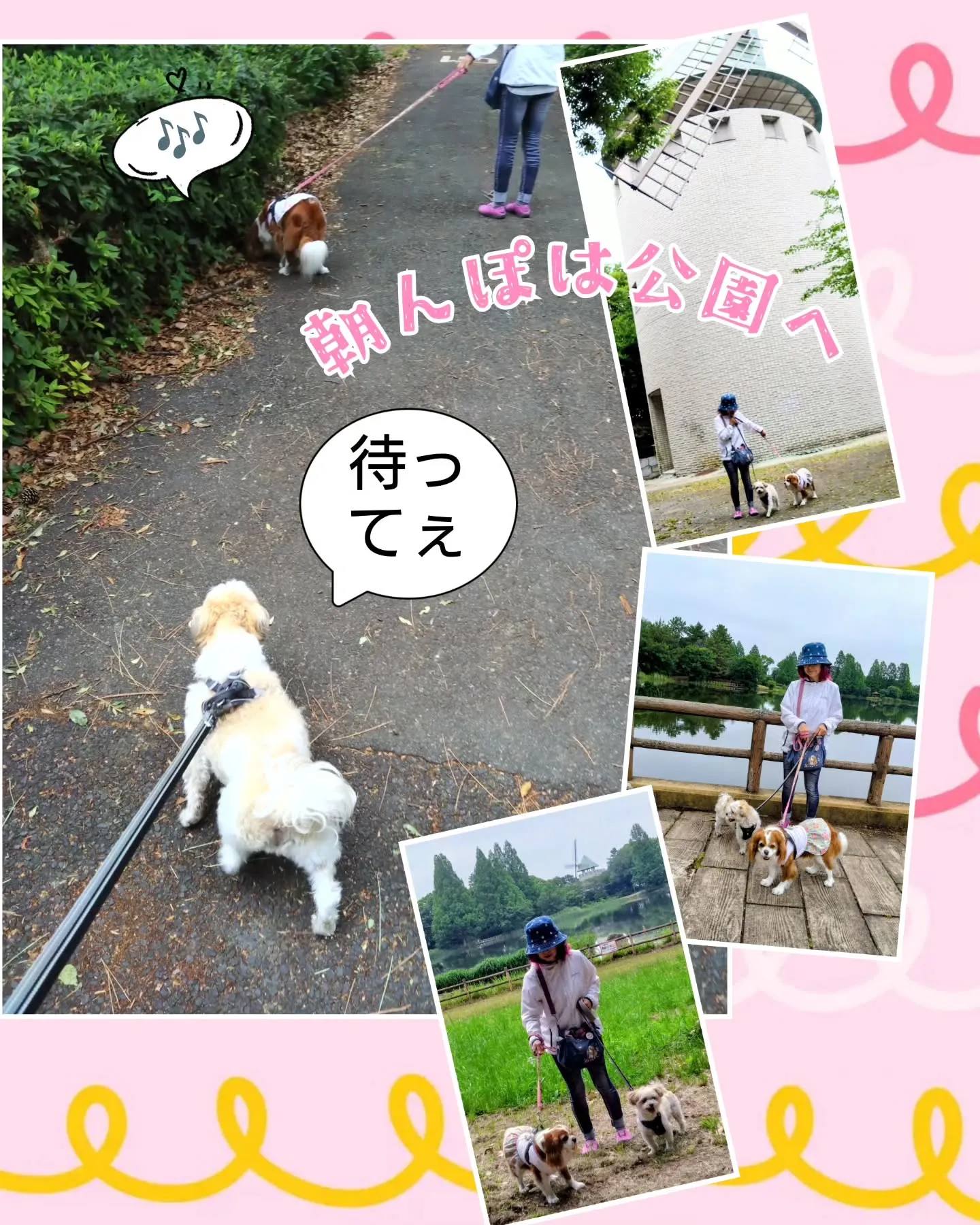 土曜日💕ワン友、リンちゃんママのお誕生日月、お祝いランチに焼...