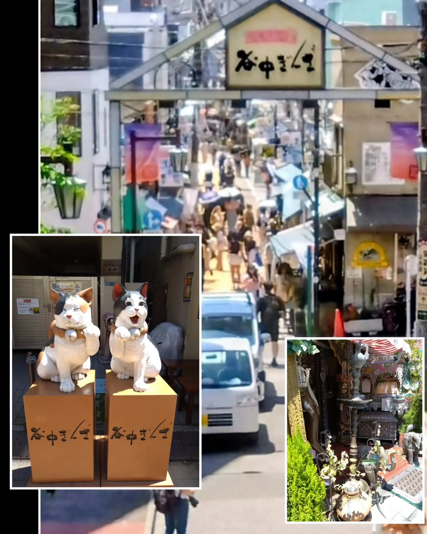 昨日はルナママに誘って貰って、谷中&新宿巡り💖「大•犬展」、...