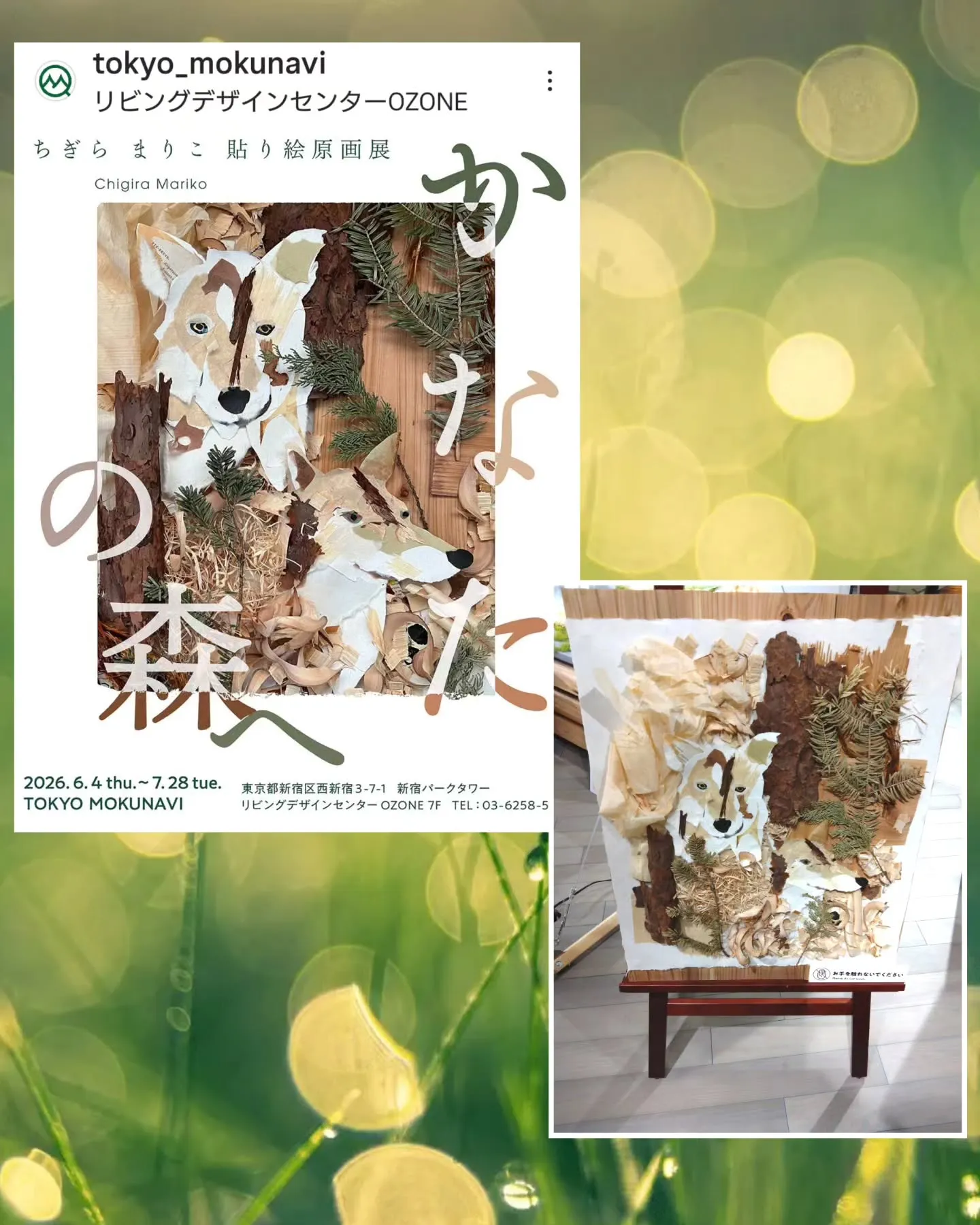 昨日はルナママに誘って貰って、谷中&新宿巡り💖「大•犬展」、...