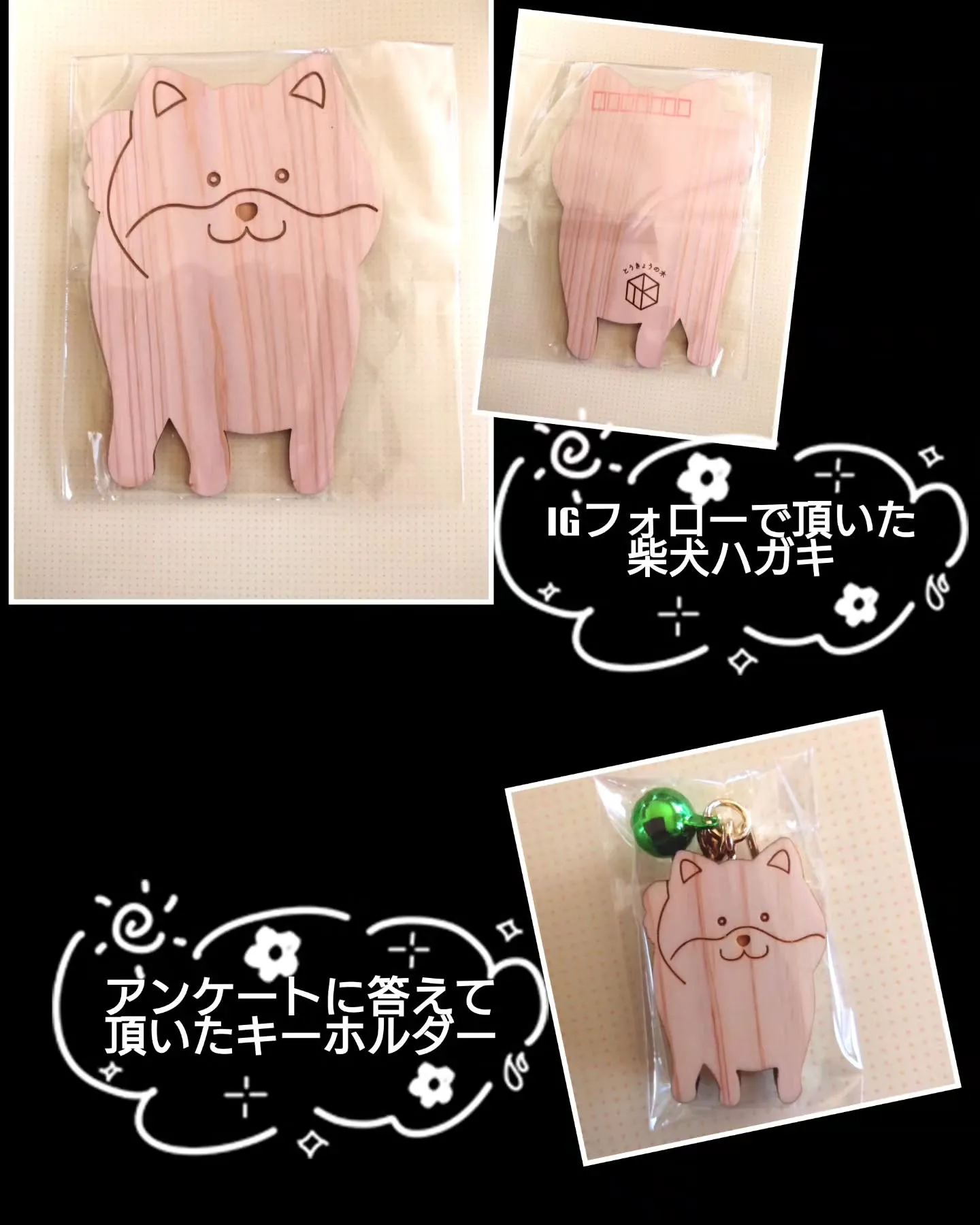 昨日はルナママに誘って貰って、谷中&新宿巡り💖「大•犬展」、...