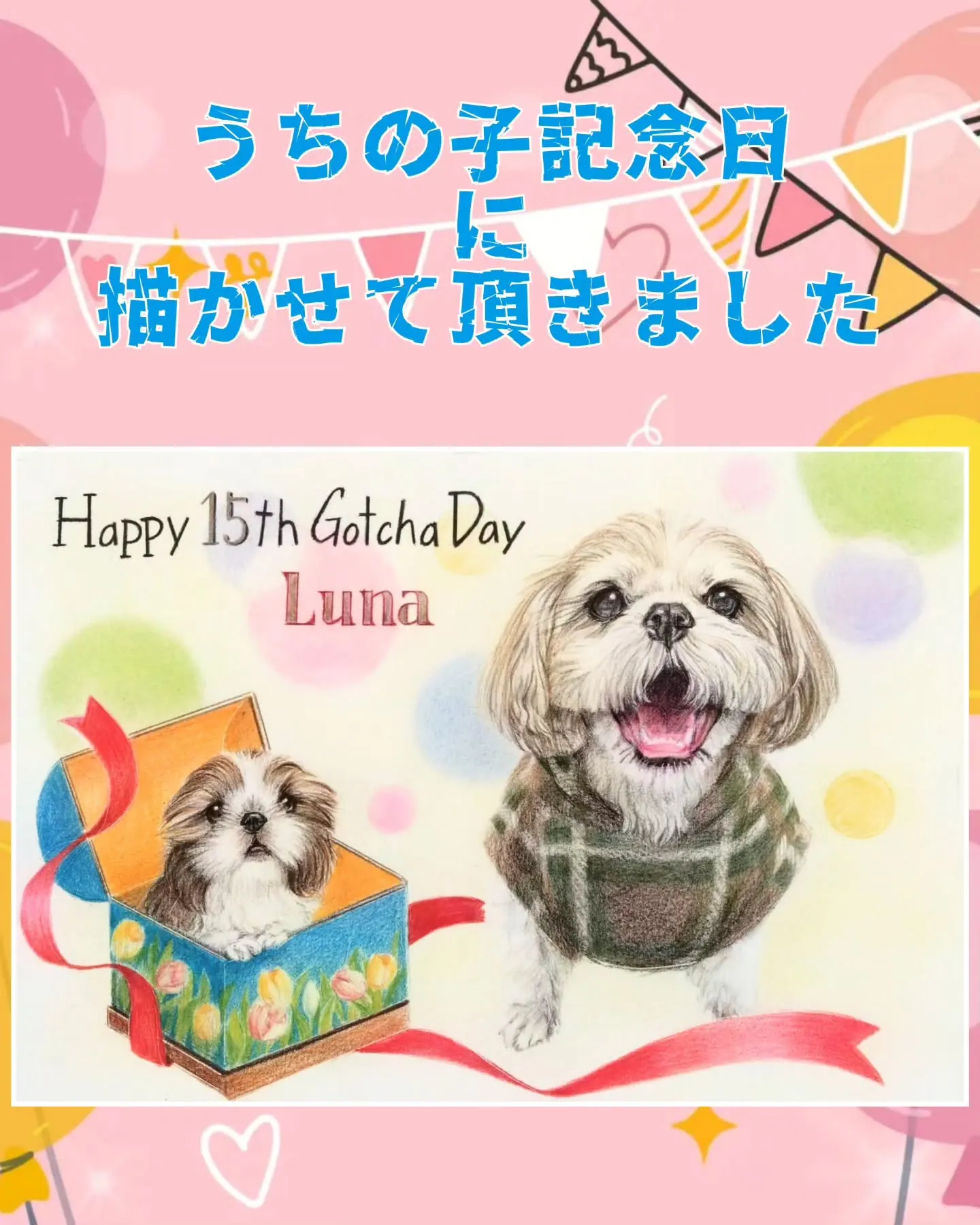 7/9は、ルナちゃんの「うちの子記念日」でした。