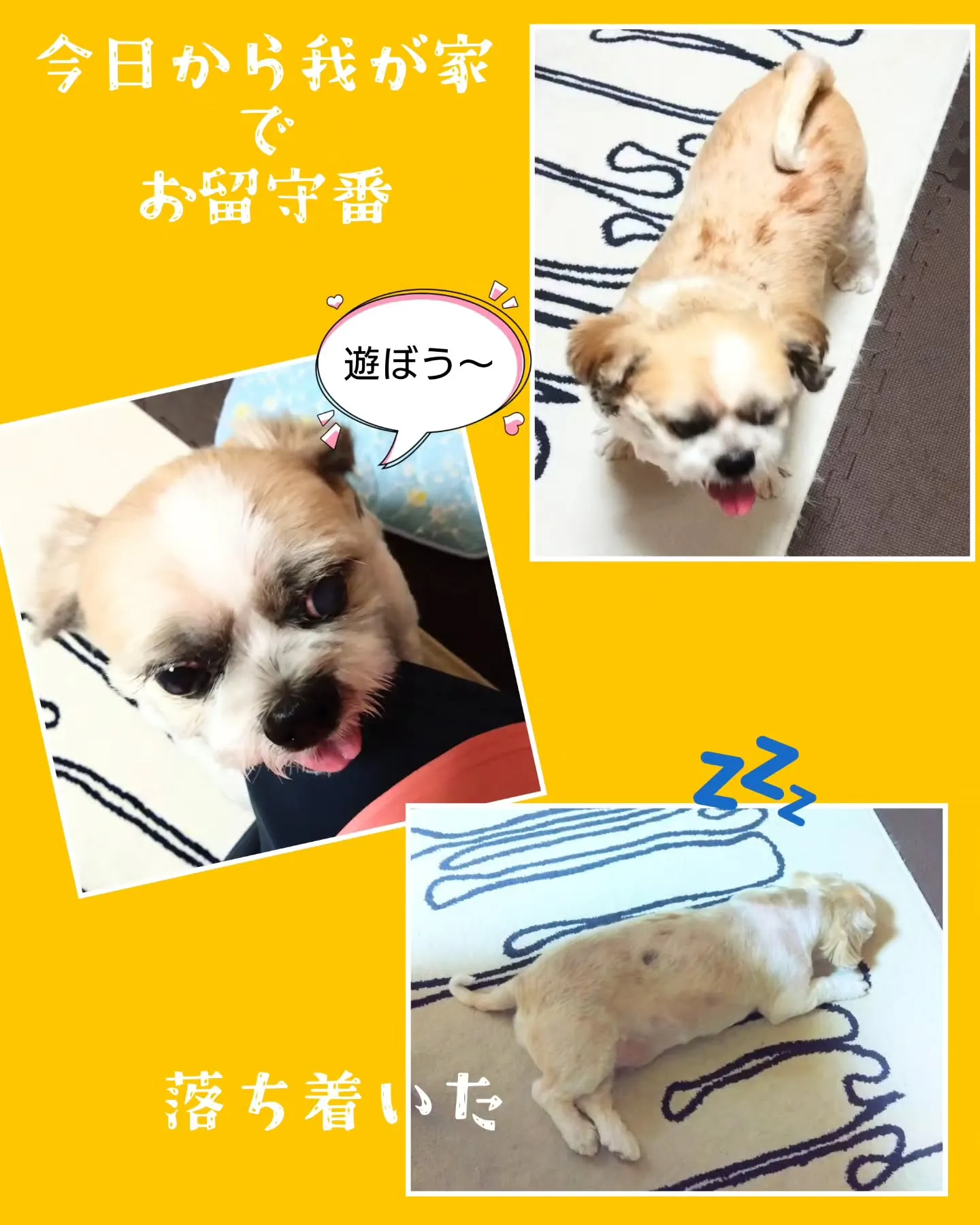 今日から暫く、ママ気分😄
