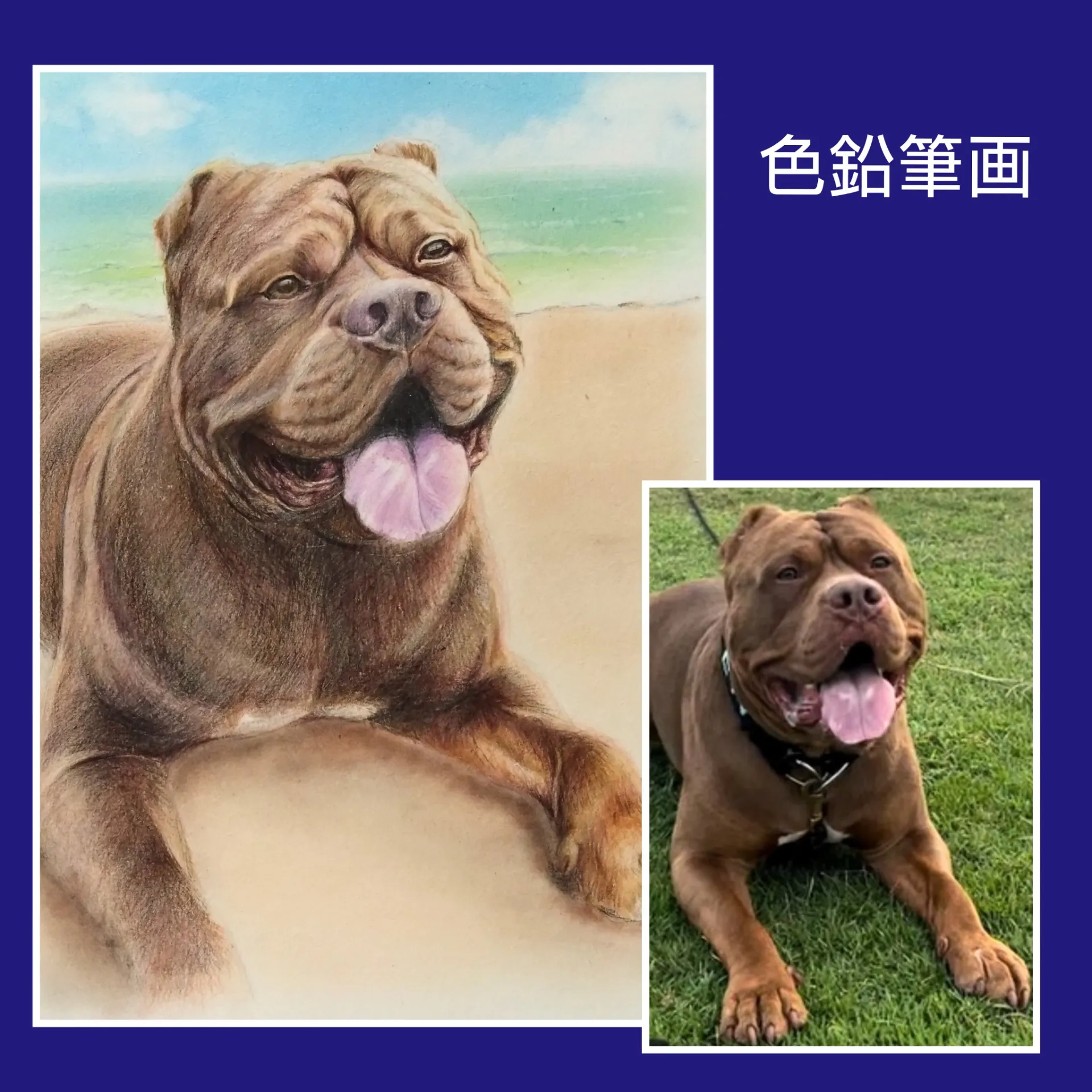 砂浜の背景をご希望❣！