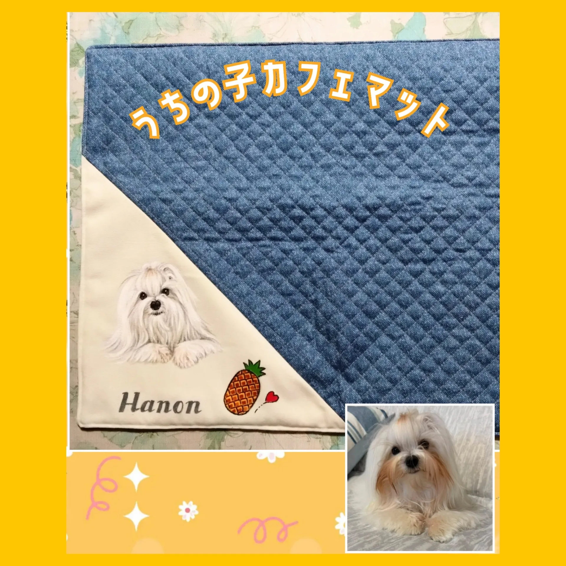 斜め切り替えにマルチーズちゃん💛