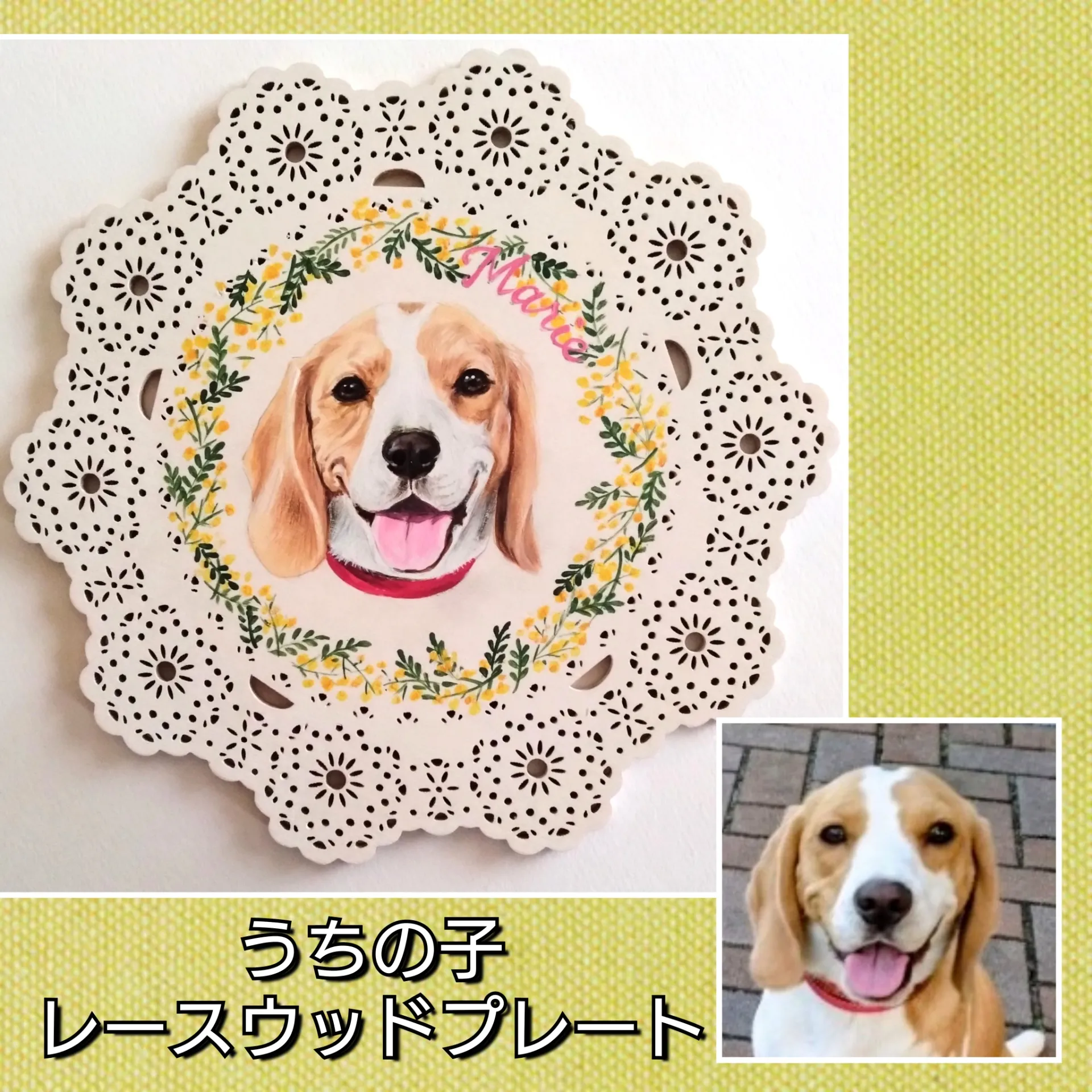 飾り画：ミモザ（ミモザ大人気(#^^#)）