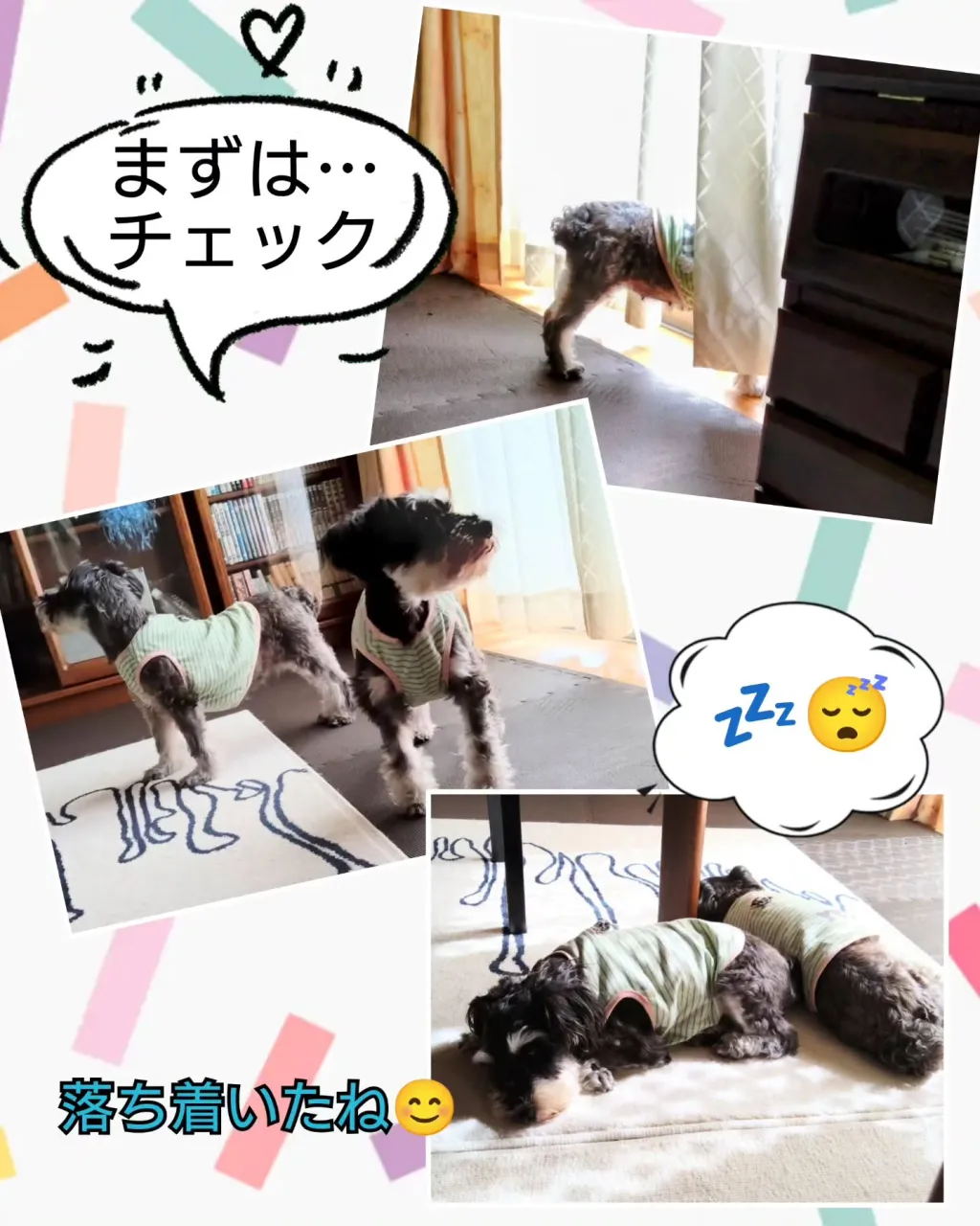 先週末のお預かり〜