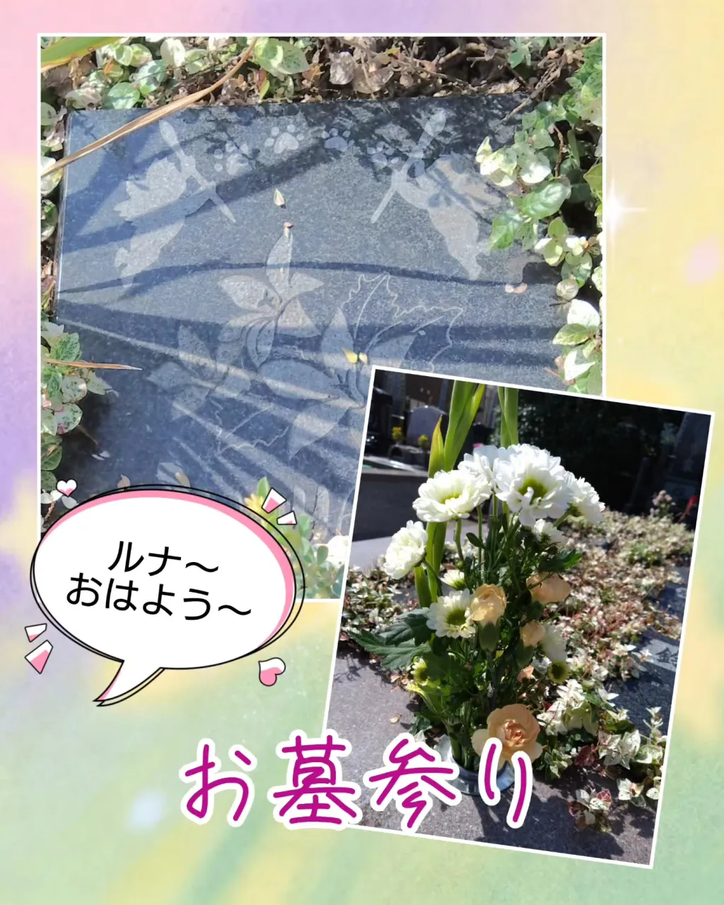 今日はルナの命日