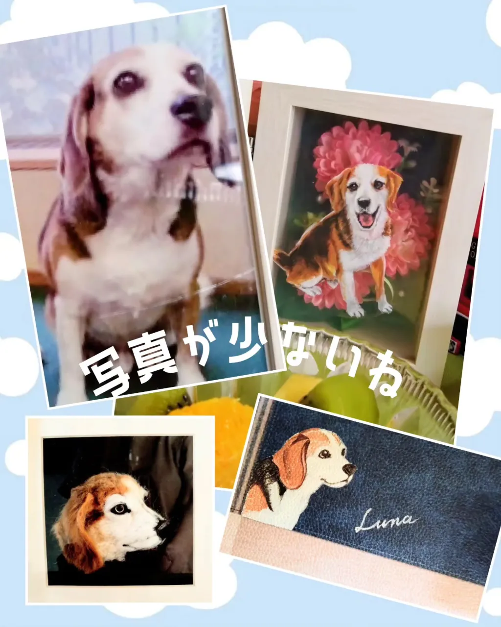 今日はルナの命日
