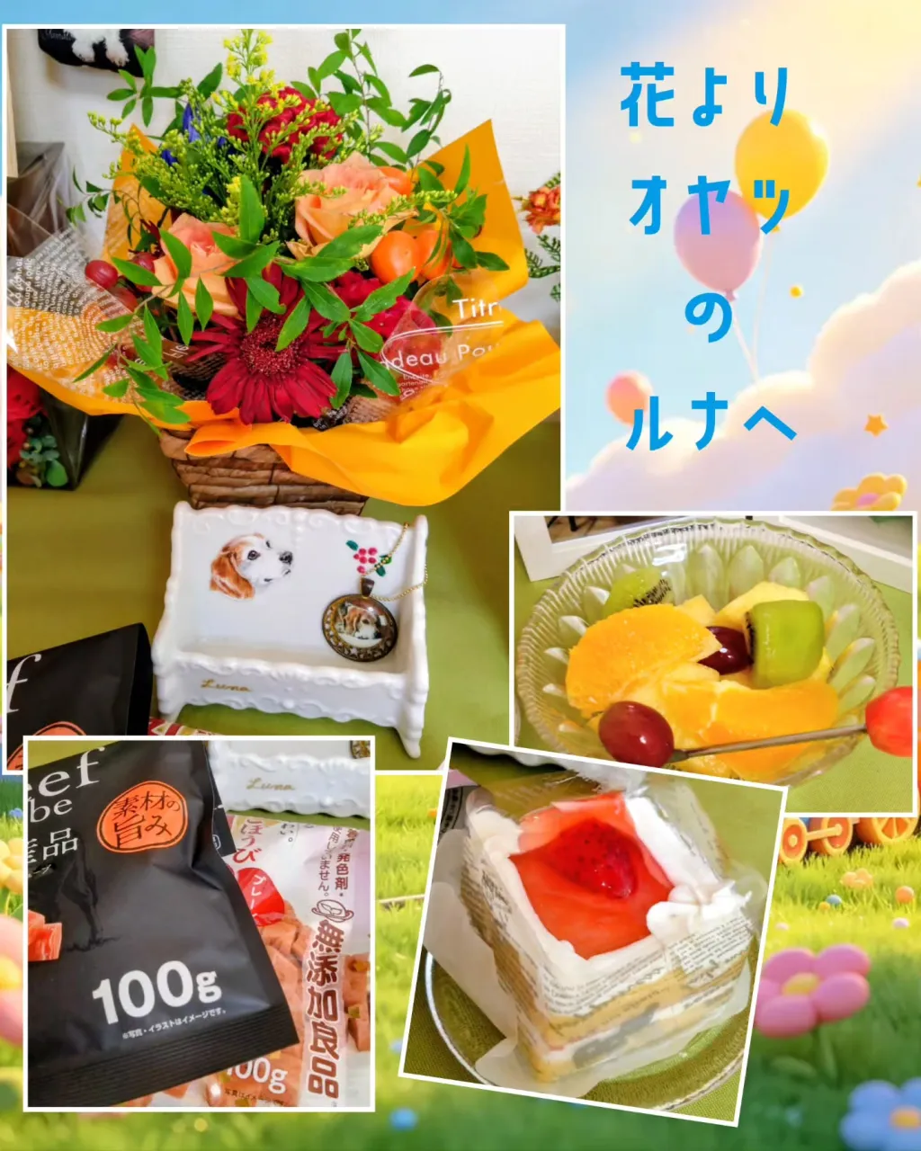 今日はルナの命日