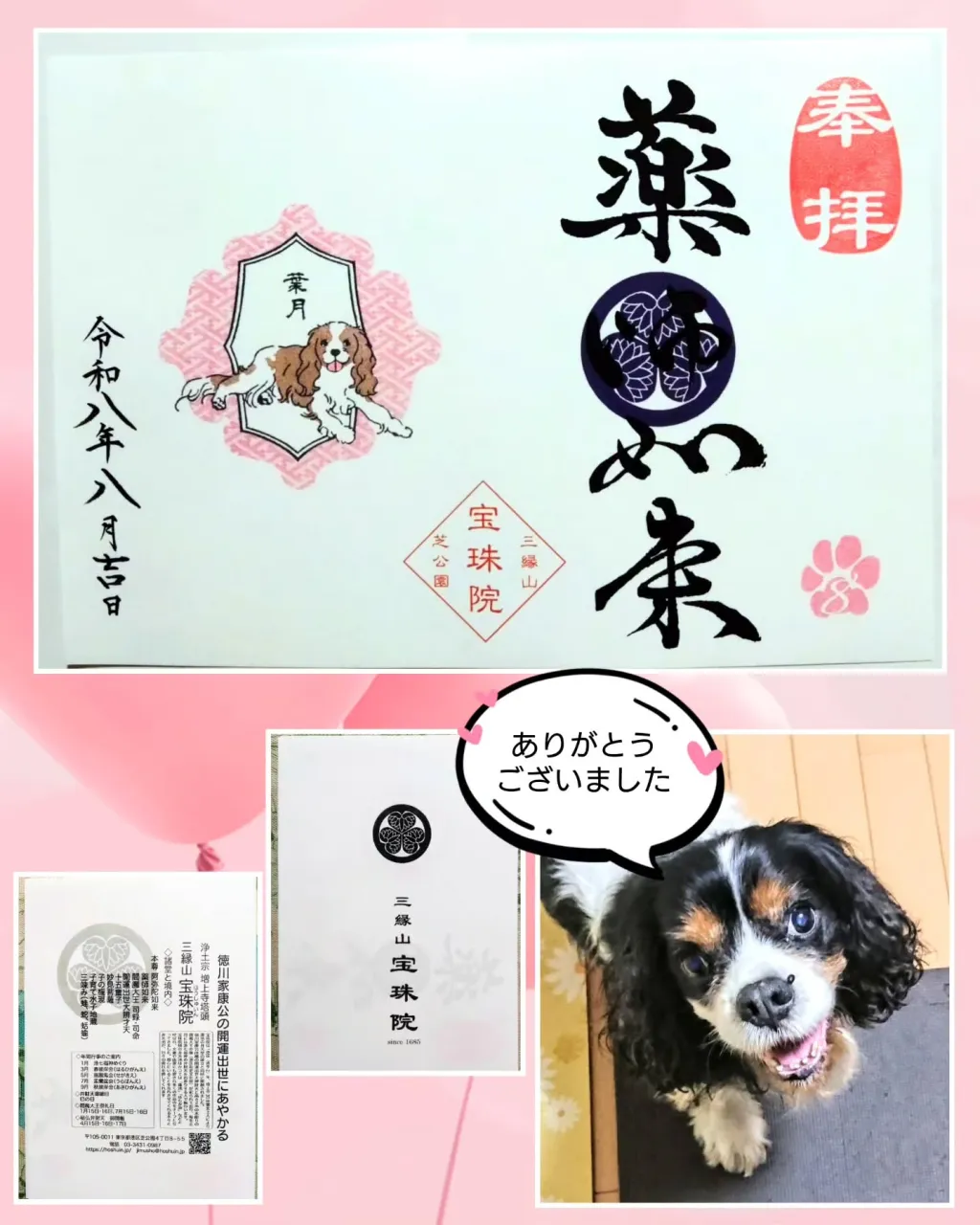 今日はびっくりしましたーーっ‼️