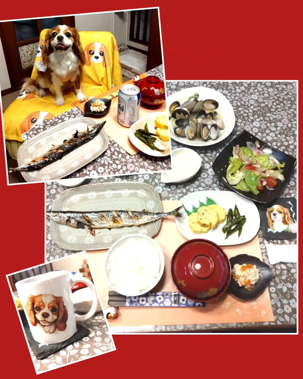 一昨日はリンちゃんママにお呼ばれして!今季初サンマ🐟️を頂き...