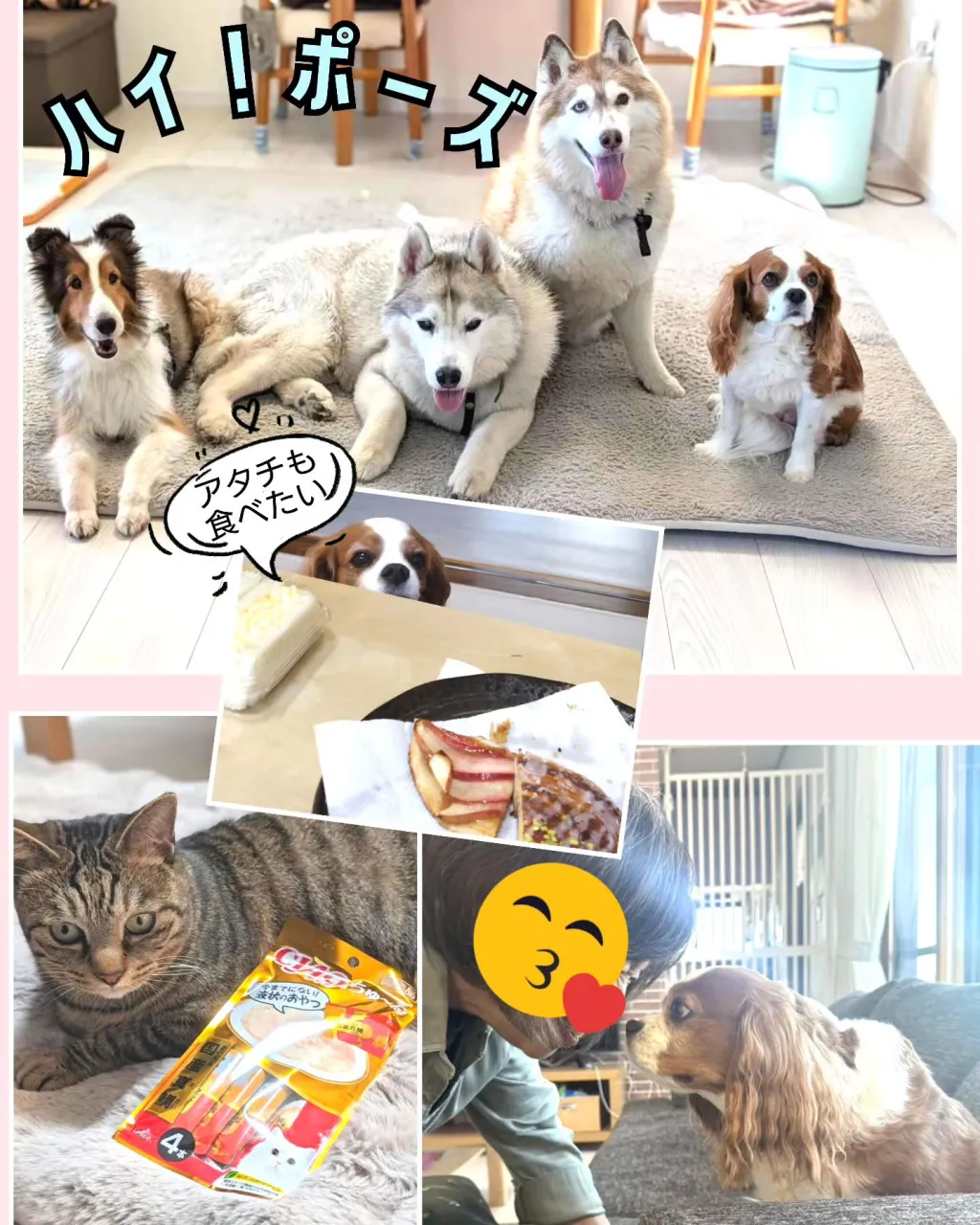 一昨日はリンちゃんママにお呼ばれして!今季初サンマ🐟️を頂き...