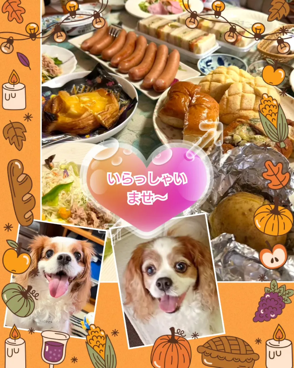 昨日は我が家にキャバちゃん２人がやって来た〜〜〜😄💕💕💕
