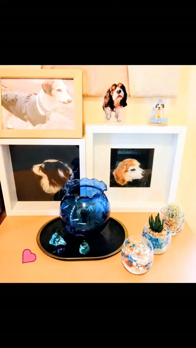 皆んな〜〜✨お迎えの準備が出来たよ〜😊帰っておいで〜〜💖